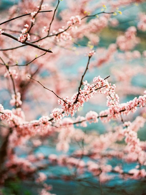 Teeth Falling Out Dream: Decoding Anxiety & Life Changes