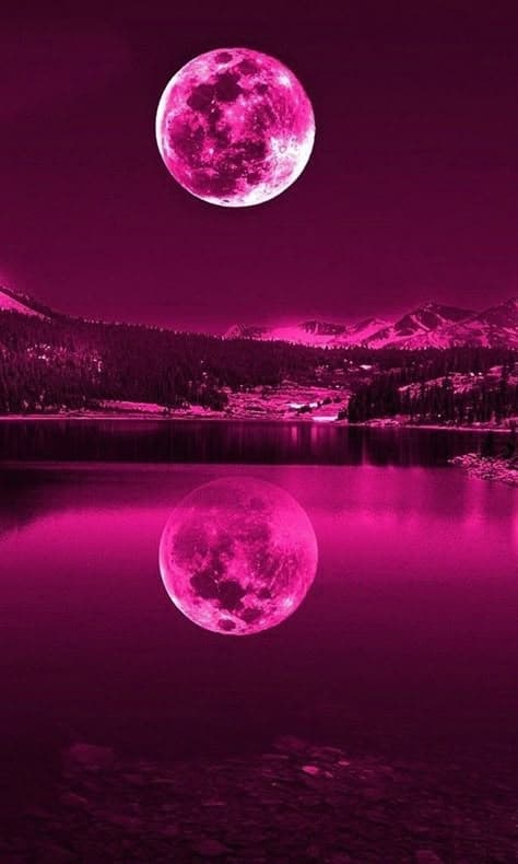 Pink Moon Dream Meaning: Romance, Intuition & Renewal