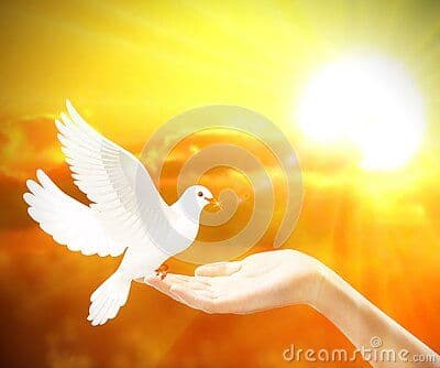 Forgiveness Dream Meaning: Let Go & Heal Your Heart