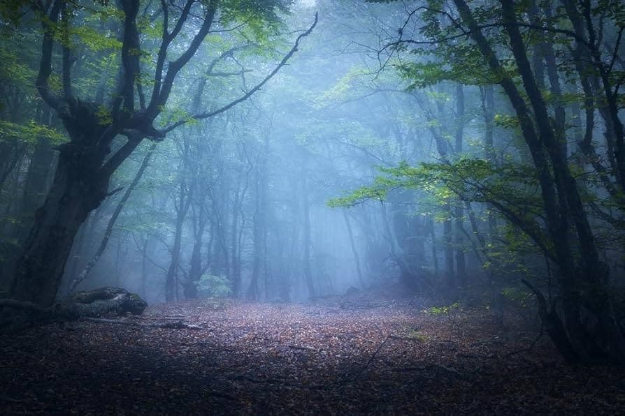 Giant Dream Meaning: Outgrowing Your Small World