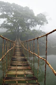Rope Bridge Dream Meaning: Navigating Unstable Transitions